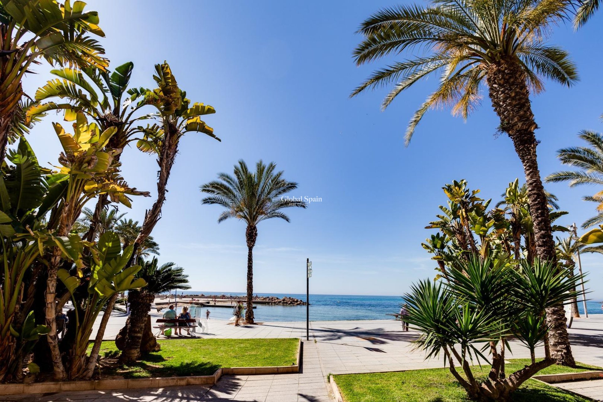 Wiederverkauf - PENTHOUSE -
TORREVIEJA - Paseo maritimo