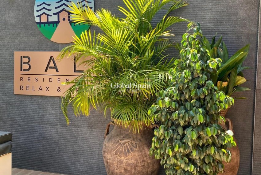 Wiederverkauf - PENTHOUSE -
TORREVIEJA - Punta Prima