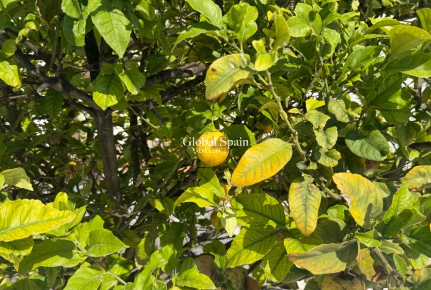 Wiederverkauf - Reihenhaus -
TORREVIEJA - Costa Blanca Sur