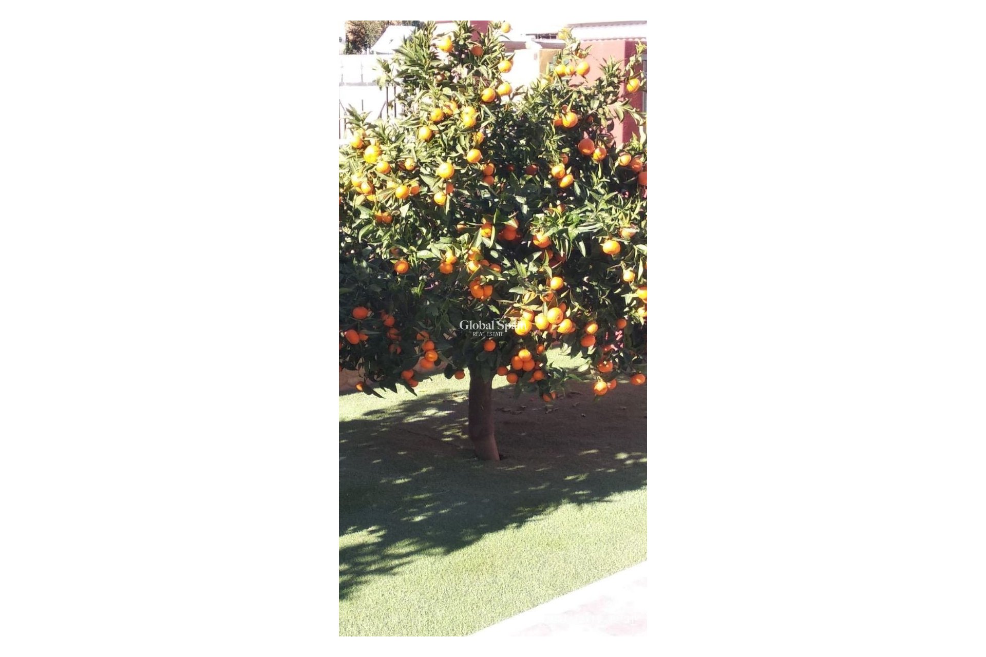 Wiederverkauf - Unabhängiges Chalet -
FINESTRAT