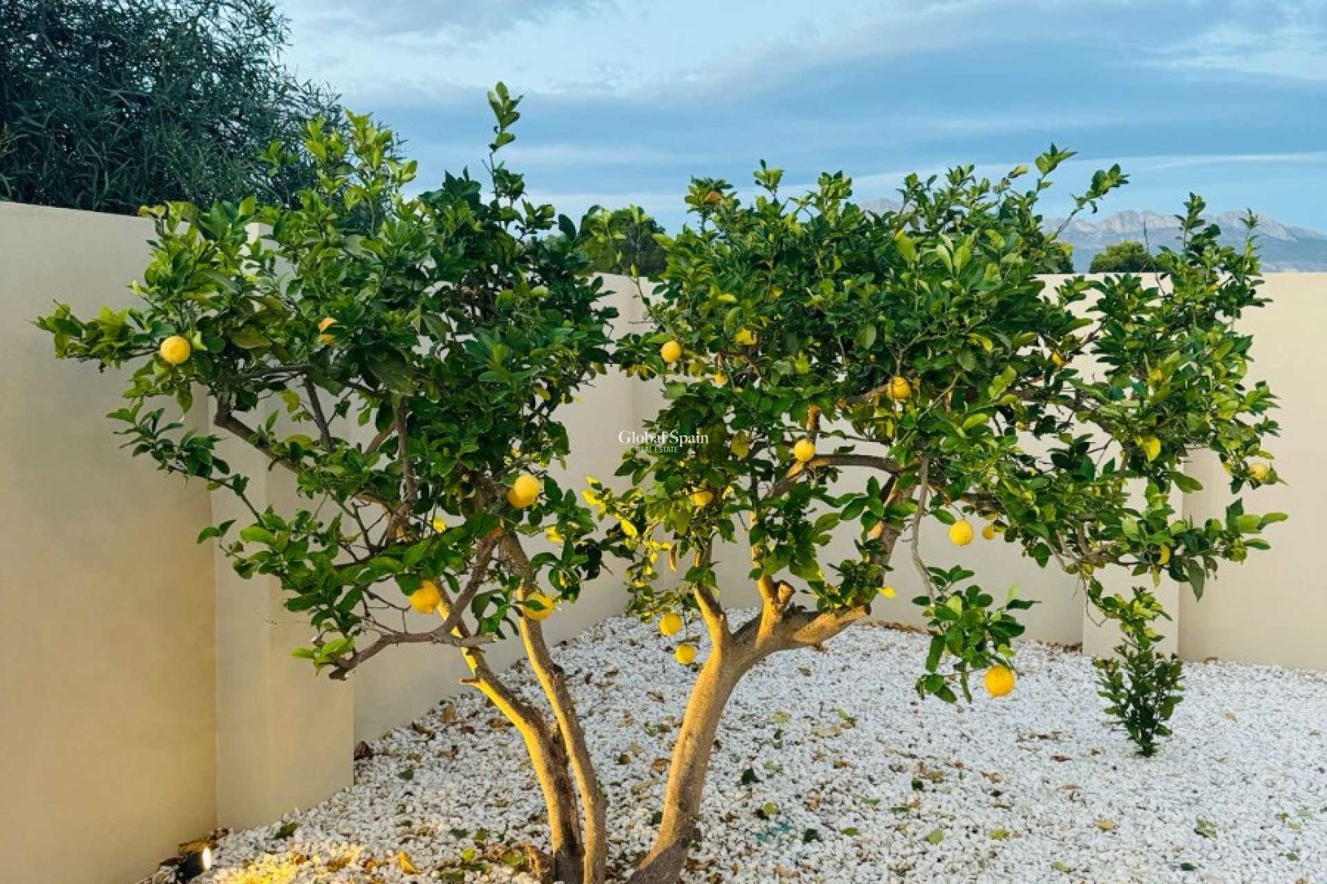 Wiederverkauf - VILLA -
ALFAZ DEL PI - Costa Blanca