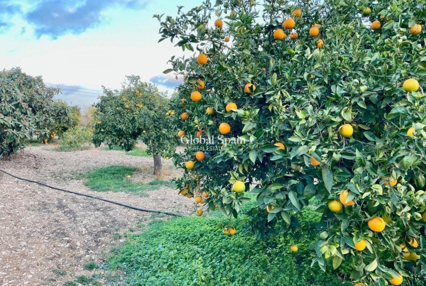 Wiederverkauf - VILLA -
BENIDORM - Salto Del Agua