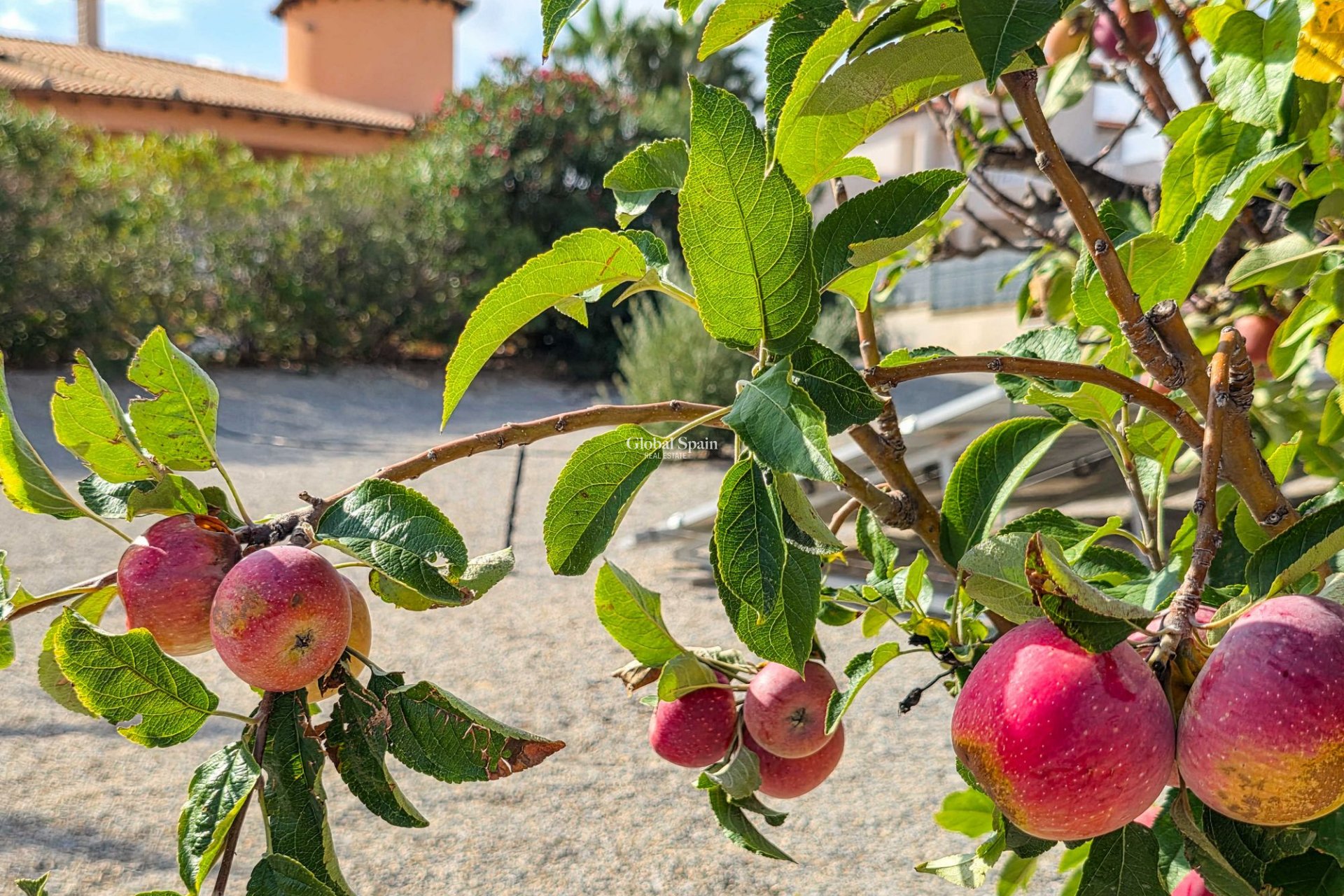 Wiederverkauf - Villa -
Campos Del Rio