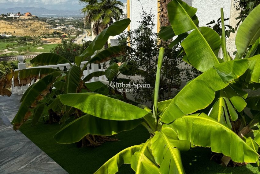 Wiederverkauf - VILLA -
CIUDAD QUESADA - Ciudad Quesada