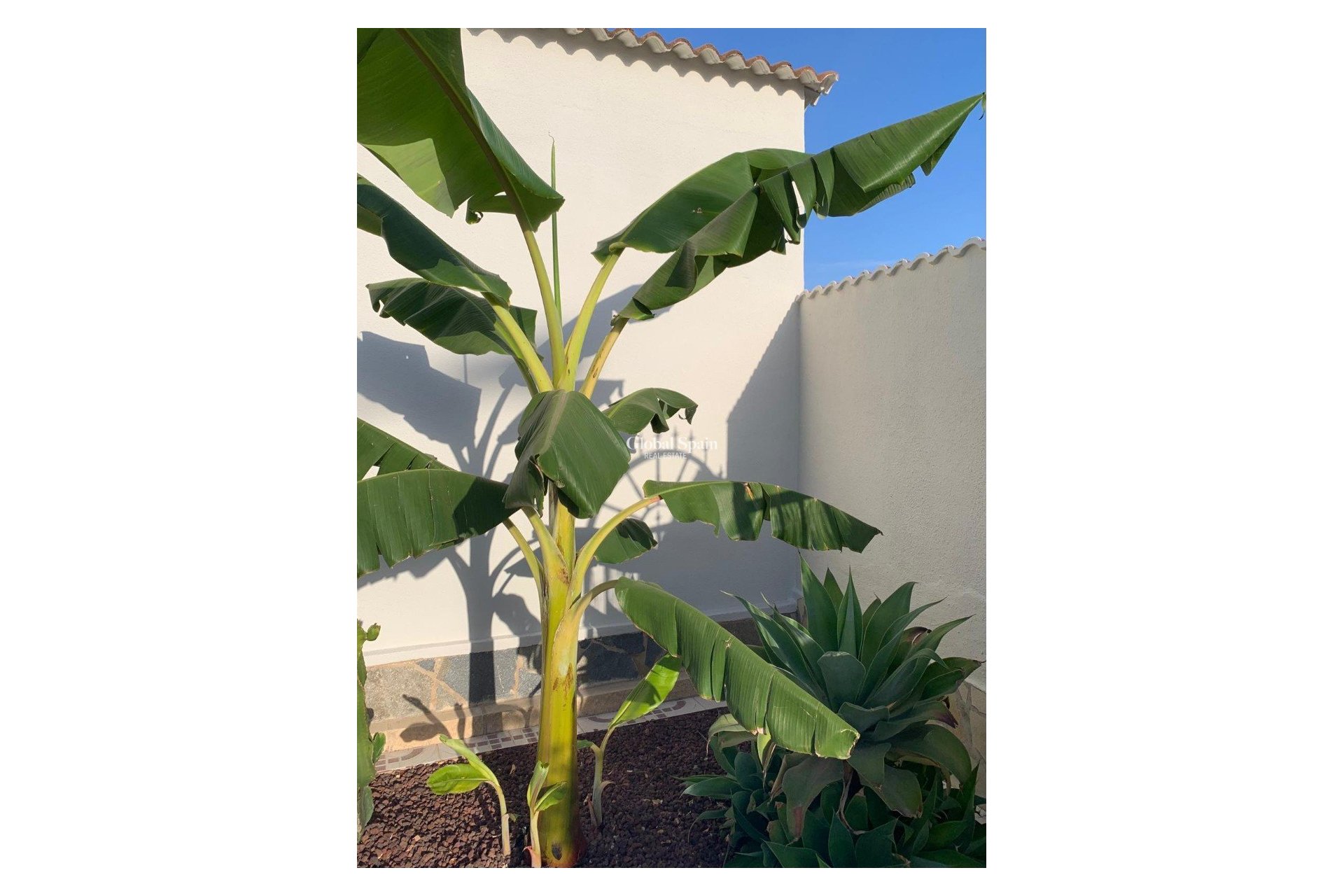 Wiederverkauf - VILLA -
CIUDAD QUESADA