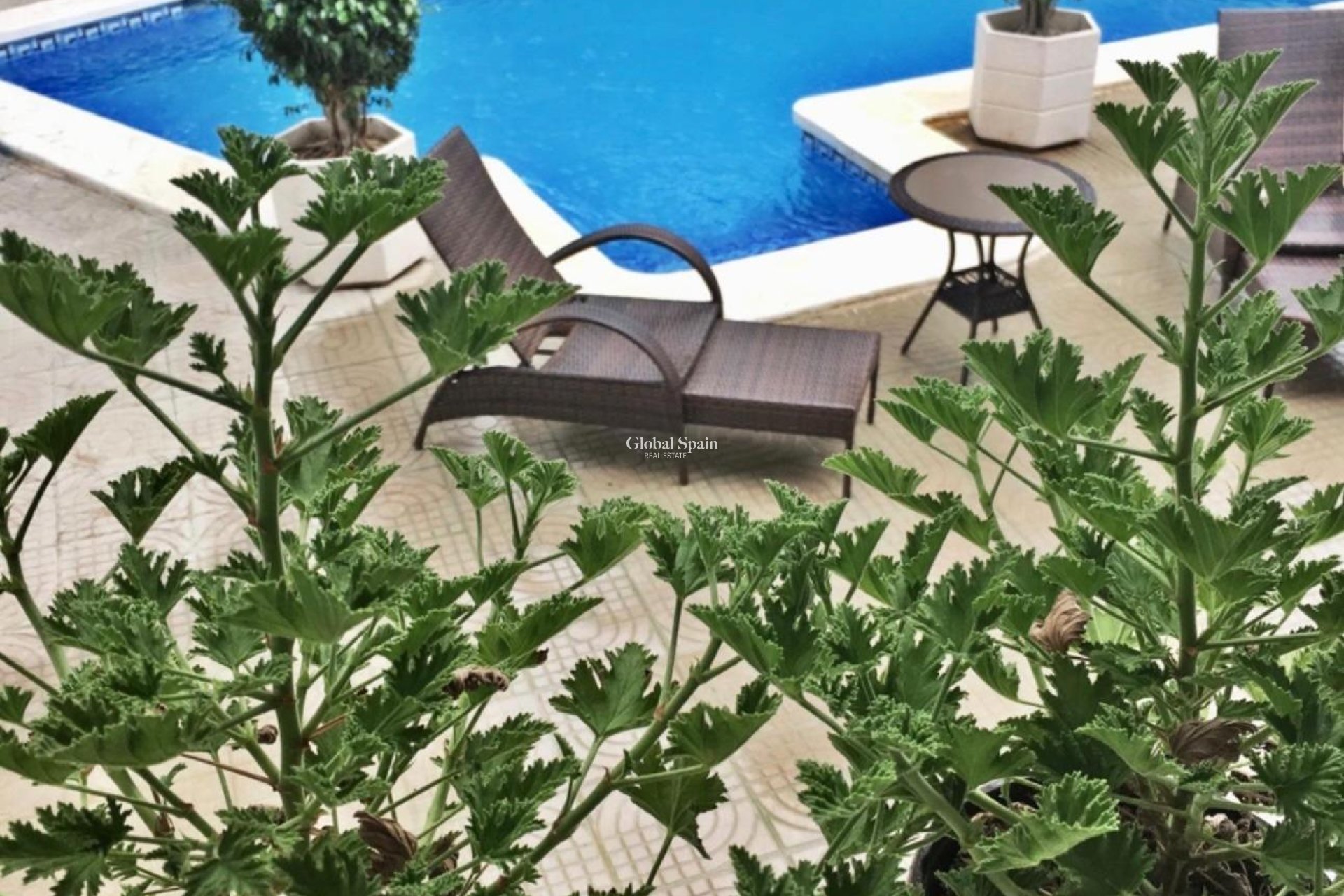 Wiederverkauf - VILLA -
CIUDAD QUESADA