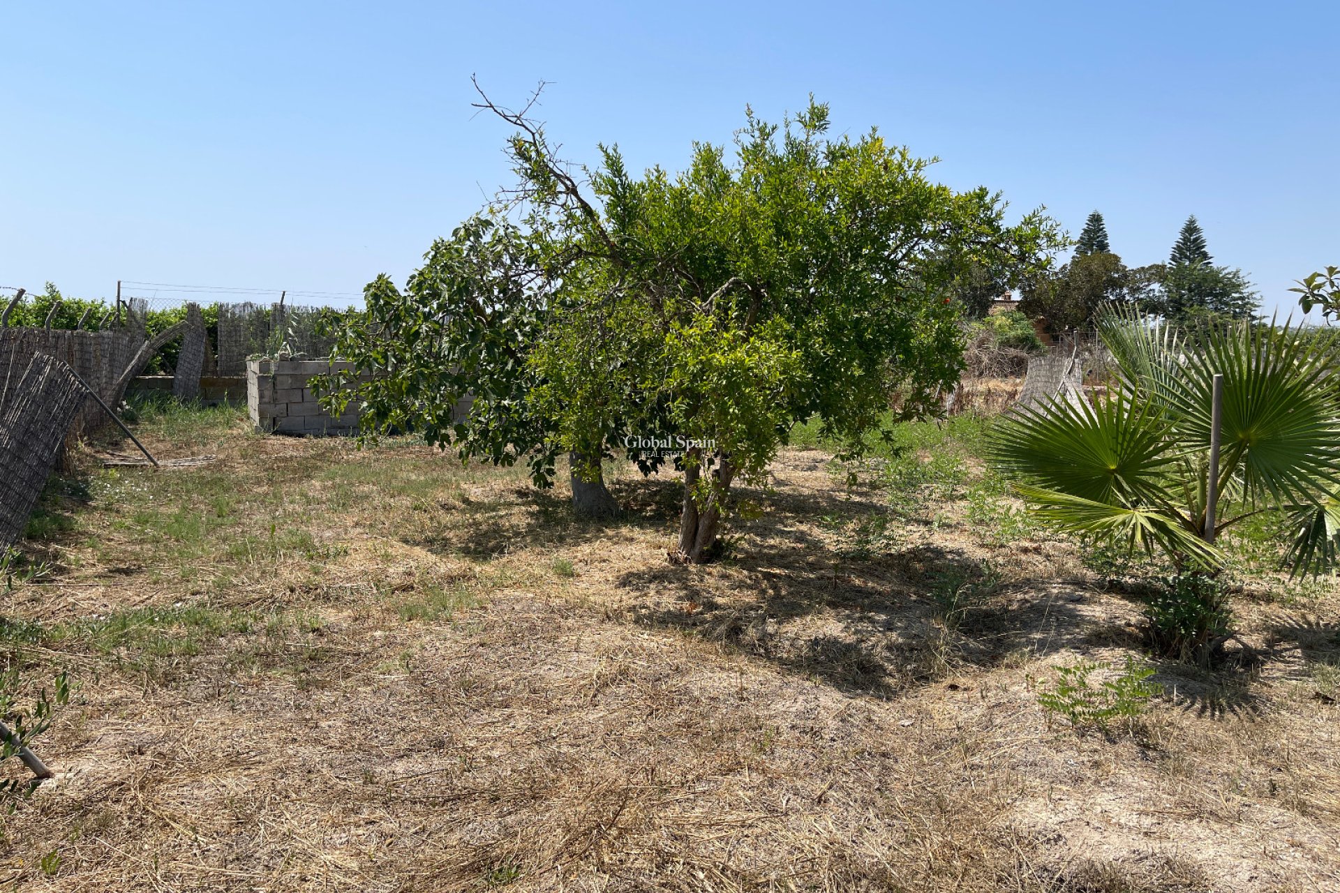 Wiederverkauf - VILLA -
DAYA NUEVA - Costa Blanca