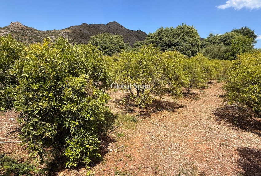Wiederverkauf - VILLA -
EL RÀFOL D'ALMÚNIA - El Ràfol D'Almúnia