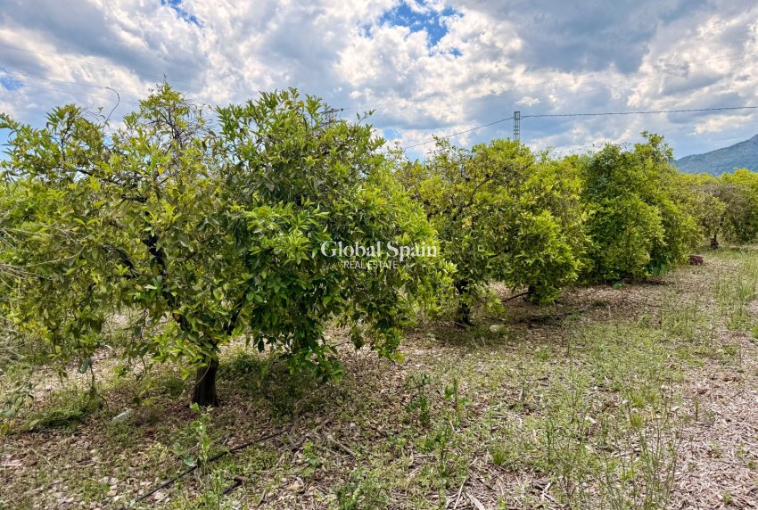 Wiederverkauf - VILLA -
EL RÀFOL D'ALMÚNIA - El Ràfol D'Almúnia