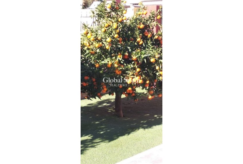 Wiederverkauf - VILLA -
FINESTRAT