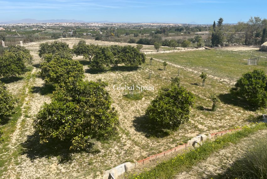 Wiederverkauf - VILLA -
GUARDAMAR DEL SEGURA - Costa Blanca