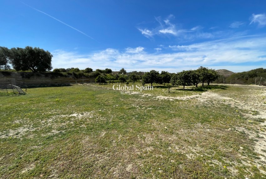 Wiederverkauf - VILLA -
GUARDAMAR DEL SEGURA - Costa Blanca