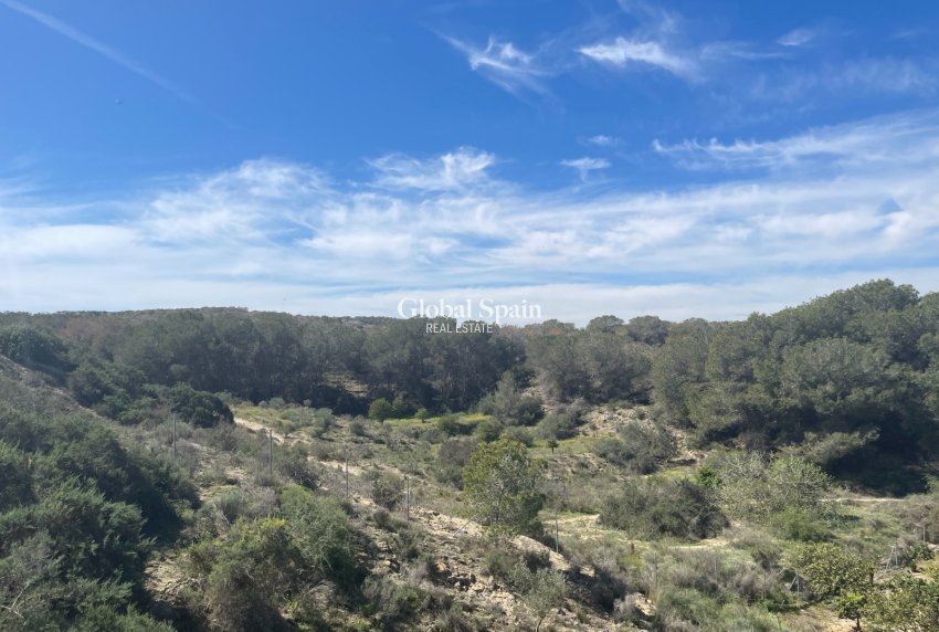 Wiederverkauf - VILLA -
GUARDAMAR DEL SEGURA - Costa Blanca