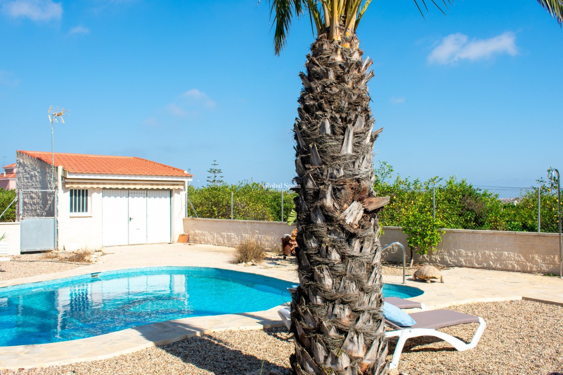 Wiederverkauf - VILLA -
GUARDAMAR DEL SEGURA - EL RASO