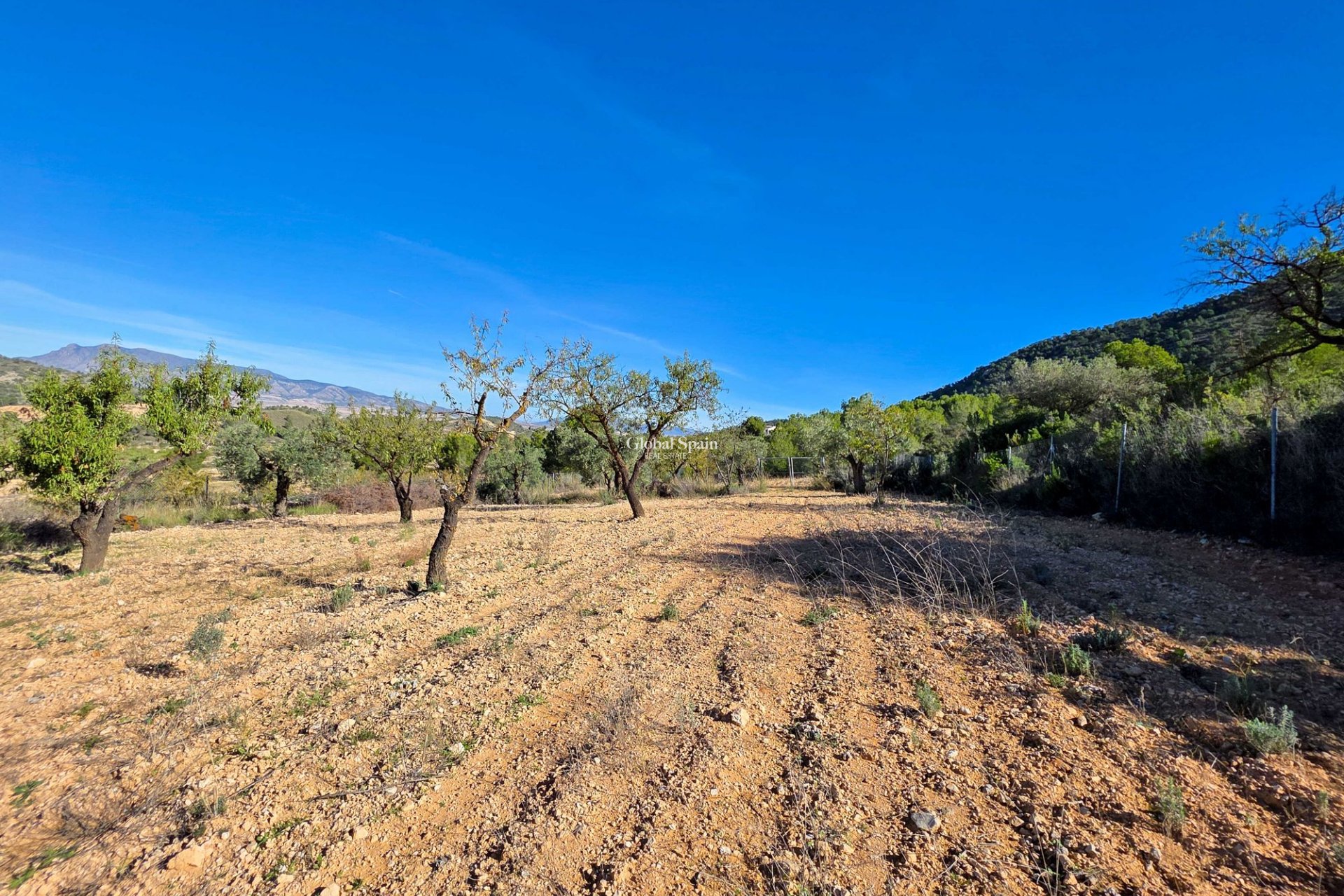 Wiederverkauf - VILLA -
LA ZARZA - La Zarza