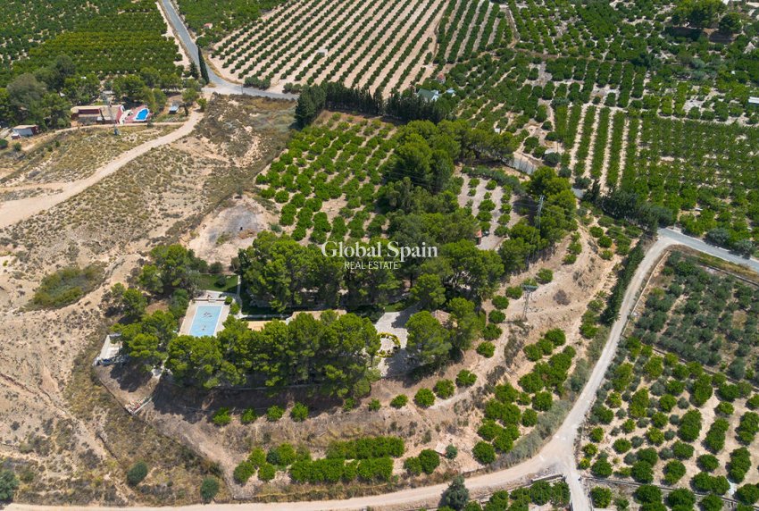 Wiederverkauf - VILLA -
MULA - Mula