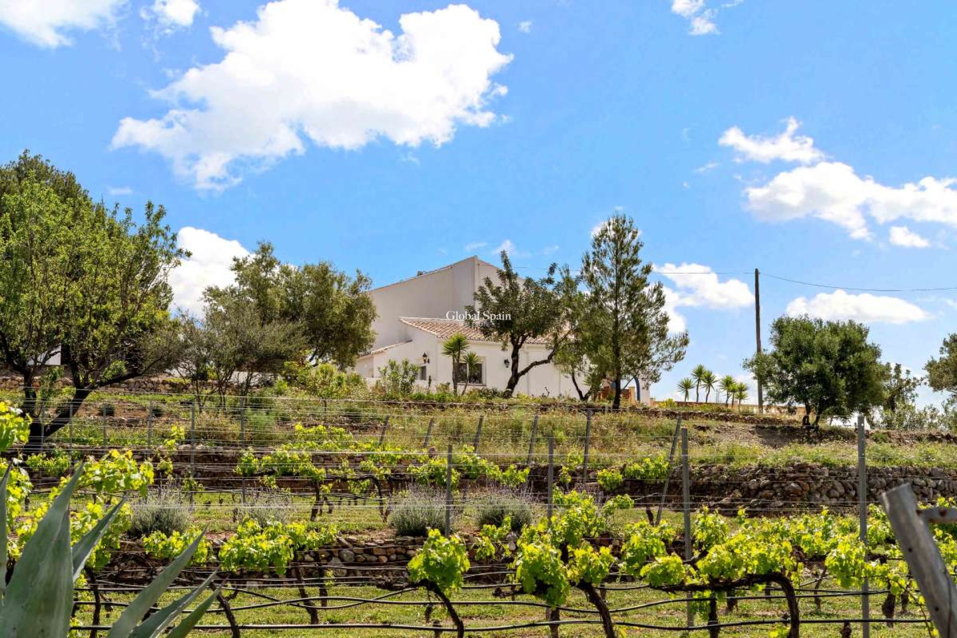 Wiederverkauf - VILLA -
MURCIA - Inland