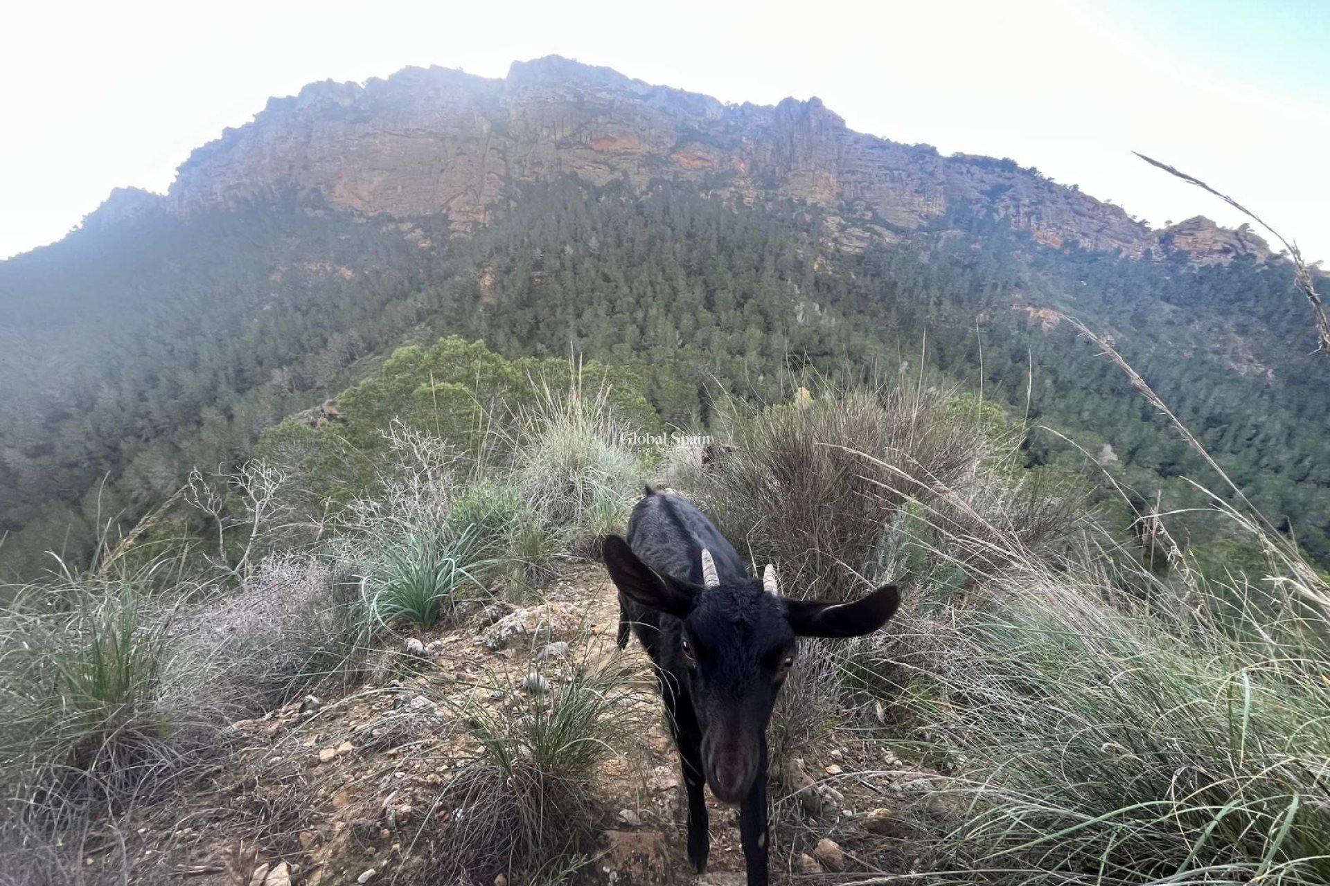Wiederverkauf - VILLA -
MURCIA - Inland