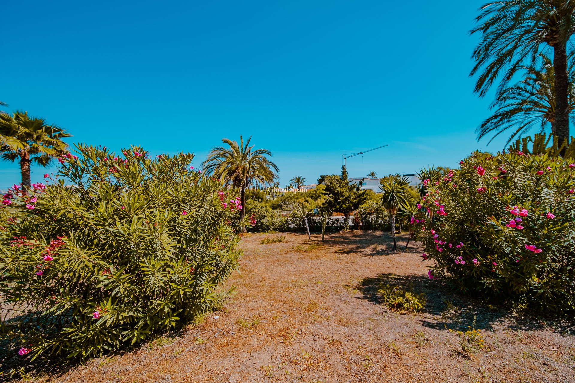 Wiederverkauf - Villa -
ORIHUELA COSTA - Playa Flamenca