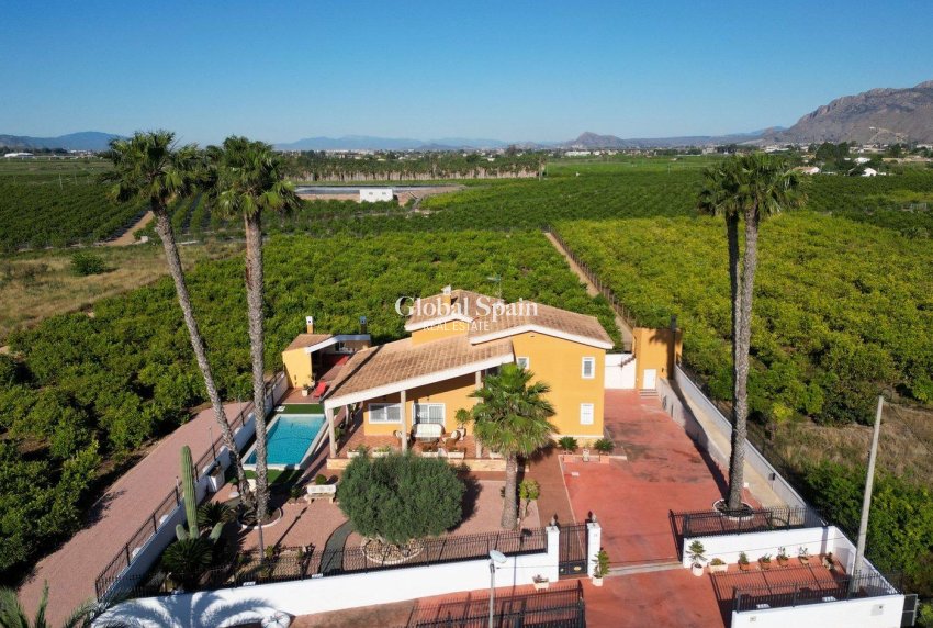 Wiederverkauf - VILLA -
ORIHUELA - Orihuela Ciudad