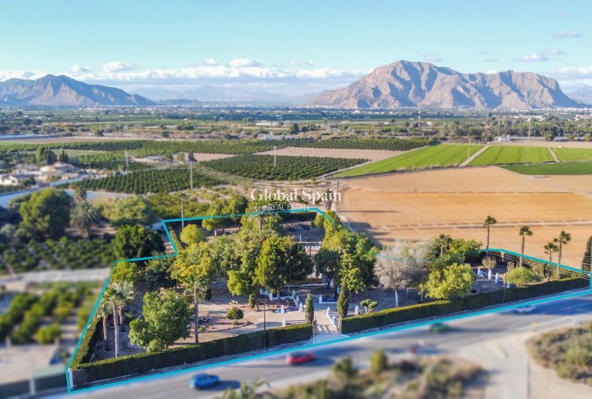 Wiederverkauf - VILLA -
ORIHUELA