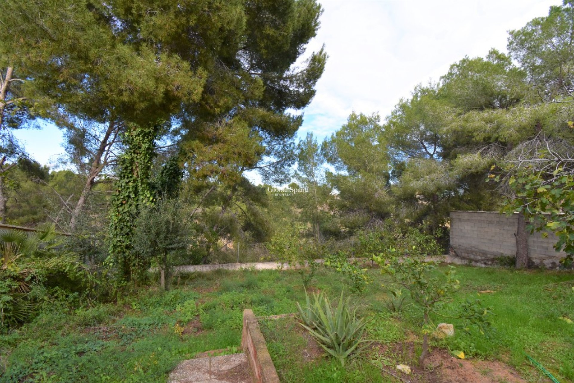 Wiederverkauf - Villa -
Pinar De Campoverde