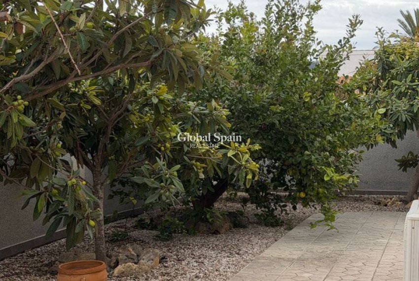 Wiederverkauf - VILLA -
PLAYA FLAMENCA - Costa Blanca