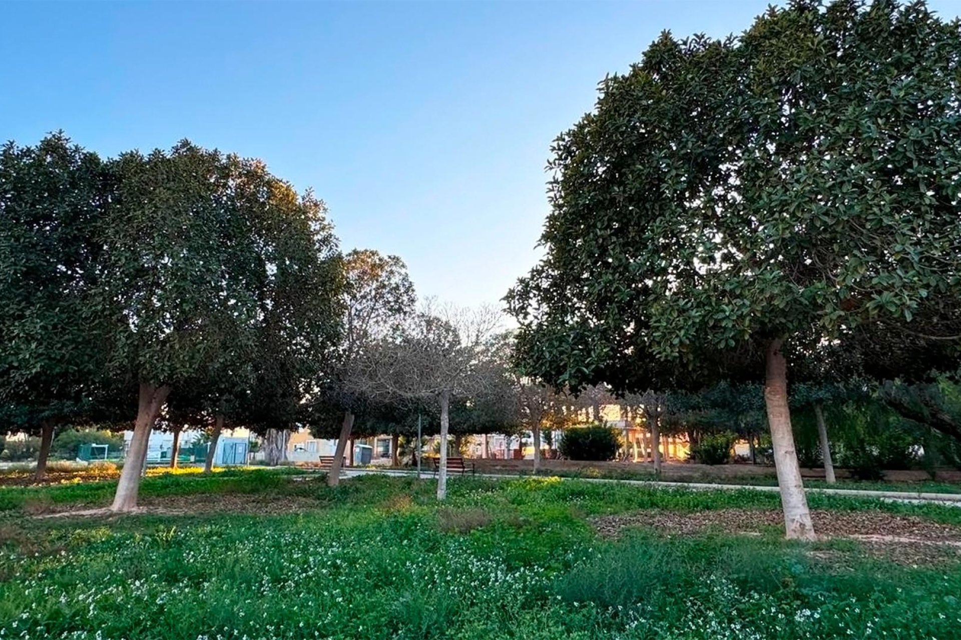 Wiederverkauf - VILLA -
ROJALES - Ciudad Quesada