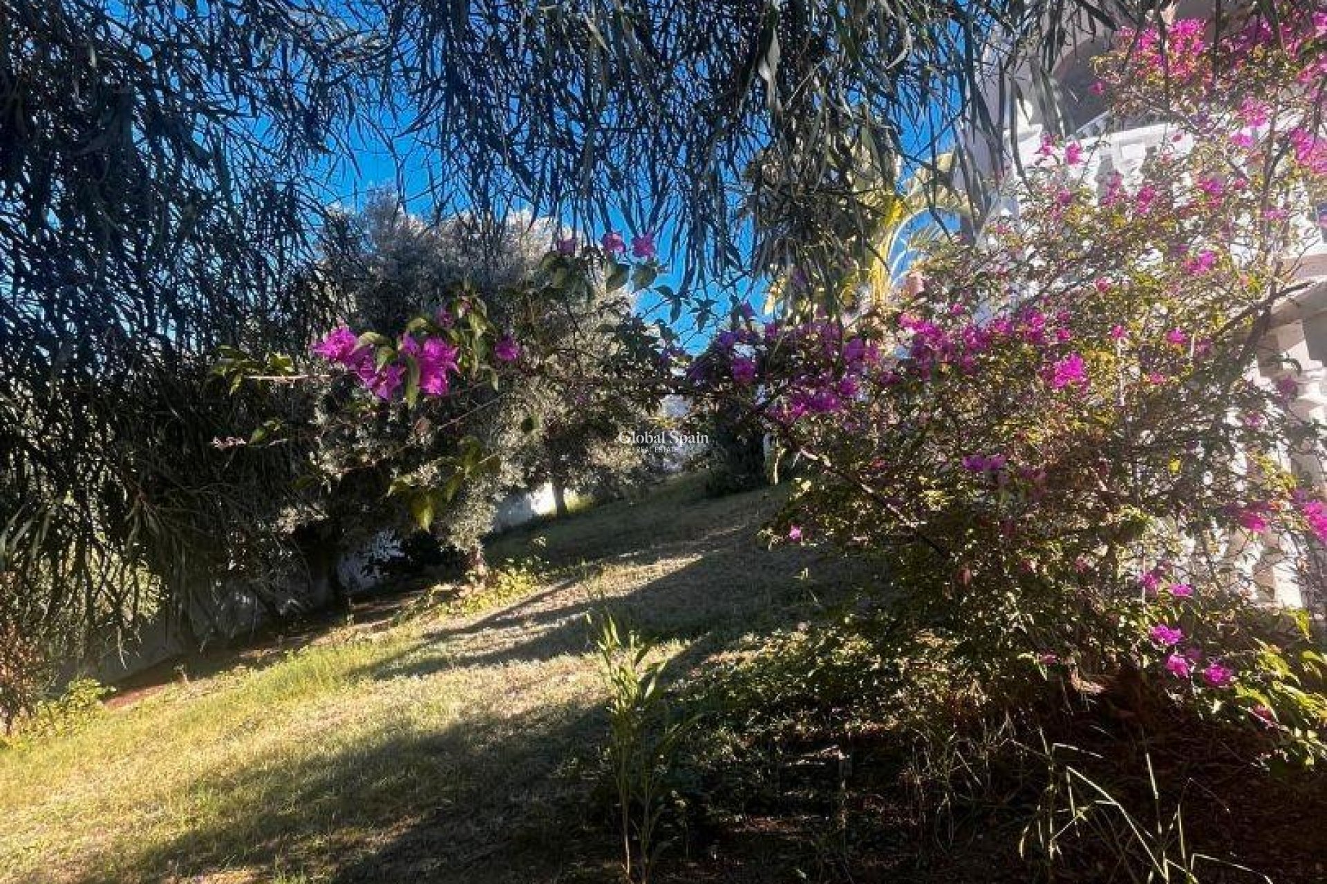 Wiederverkauf - VILLA -
ROJALES - La Marquesa Golf