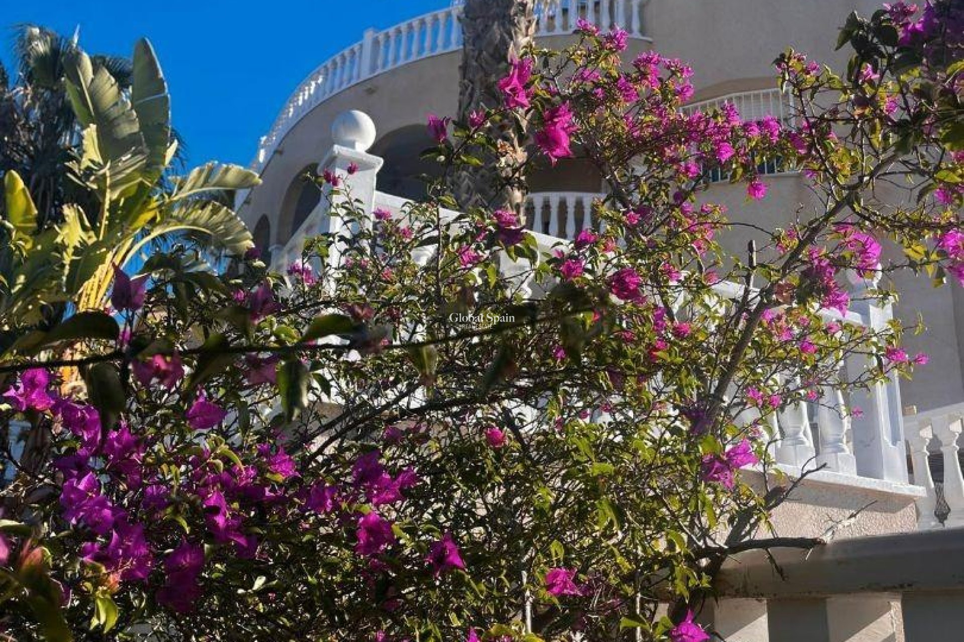 Wiederverkauf - VILLA -
ROJALES - La Marquesa Golf