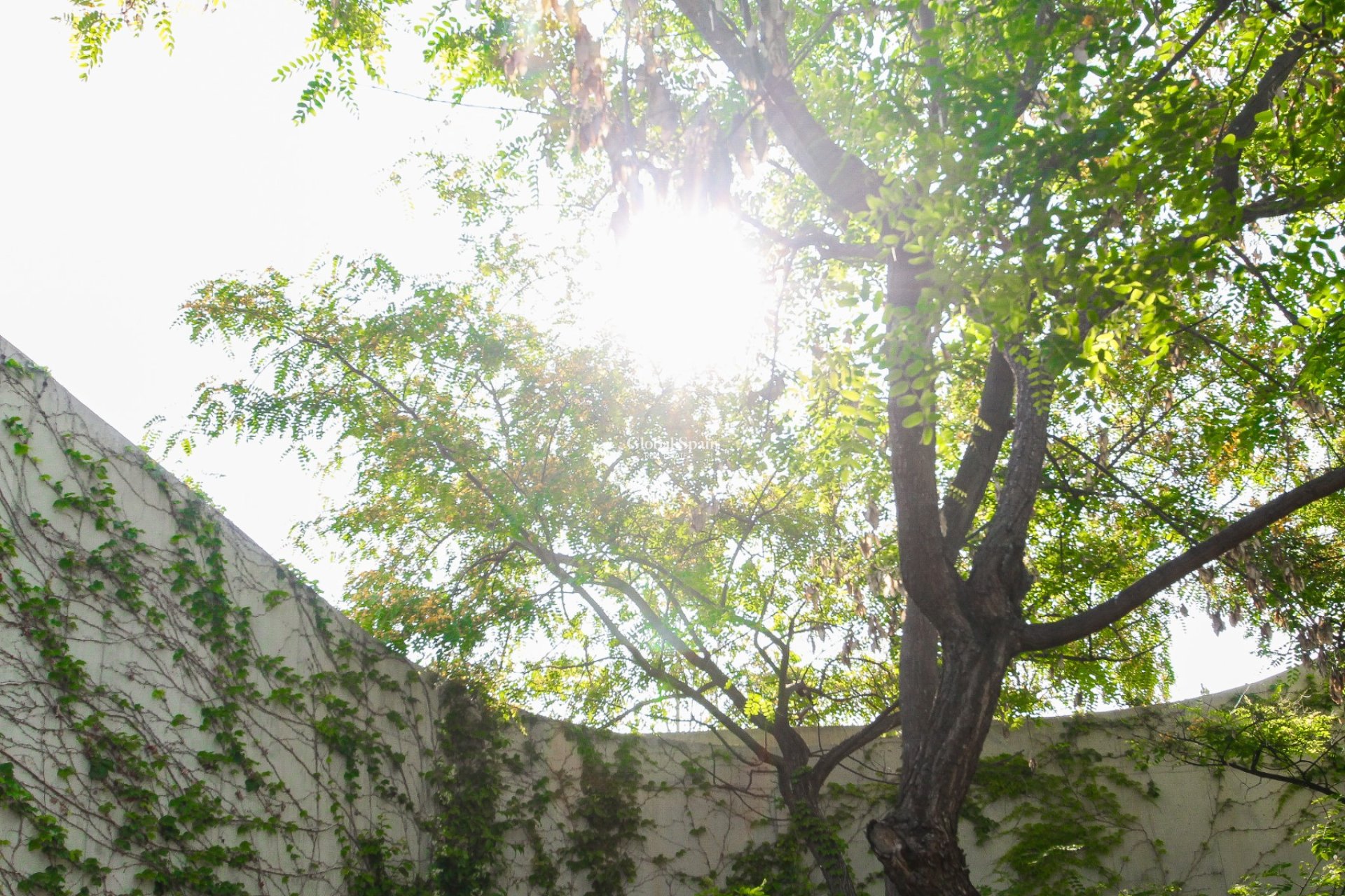 Wiederverkauf - VILLA -
San Vicente del Raspeig - Inland