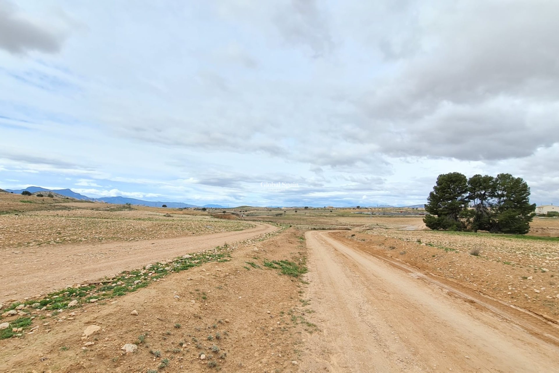 Wiederverkauf - VILLA -
TORRE DEL RICO - Inland