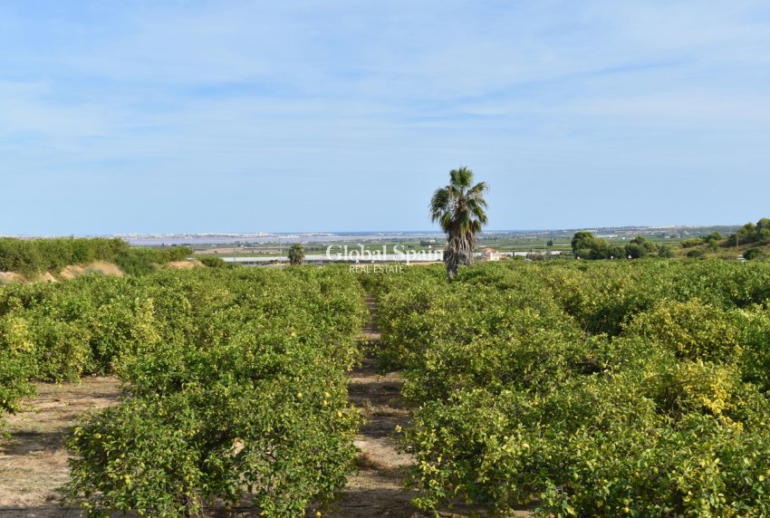 Wiederverkauf - VILLA -
TORREMENDO - Costa Blanca