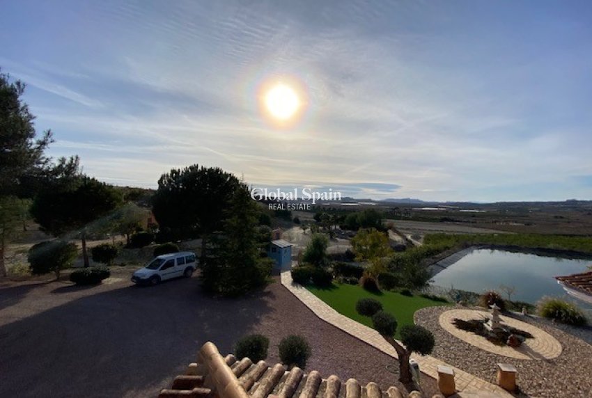 Wiederverkauf - Villa -
TORREMENDO - Torremendo