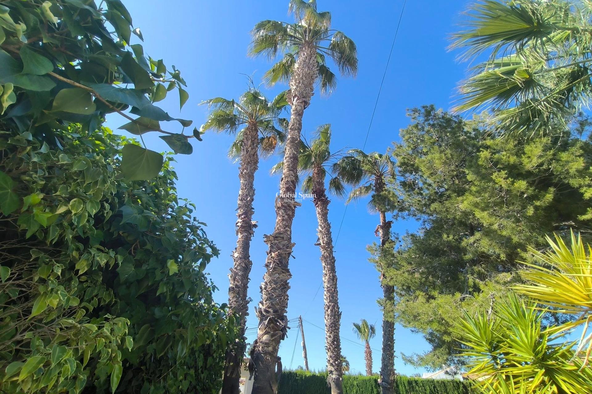 Wiederverkauf - VILLA -
TORREVIEJA - La Siesta