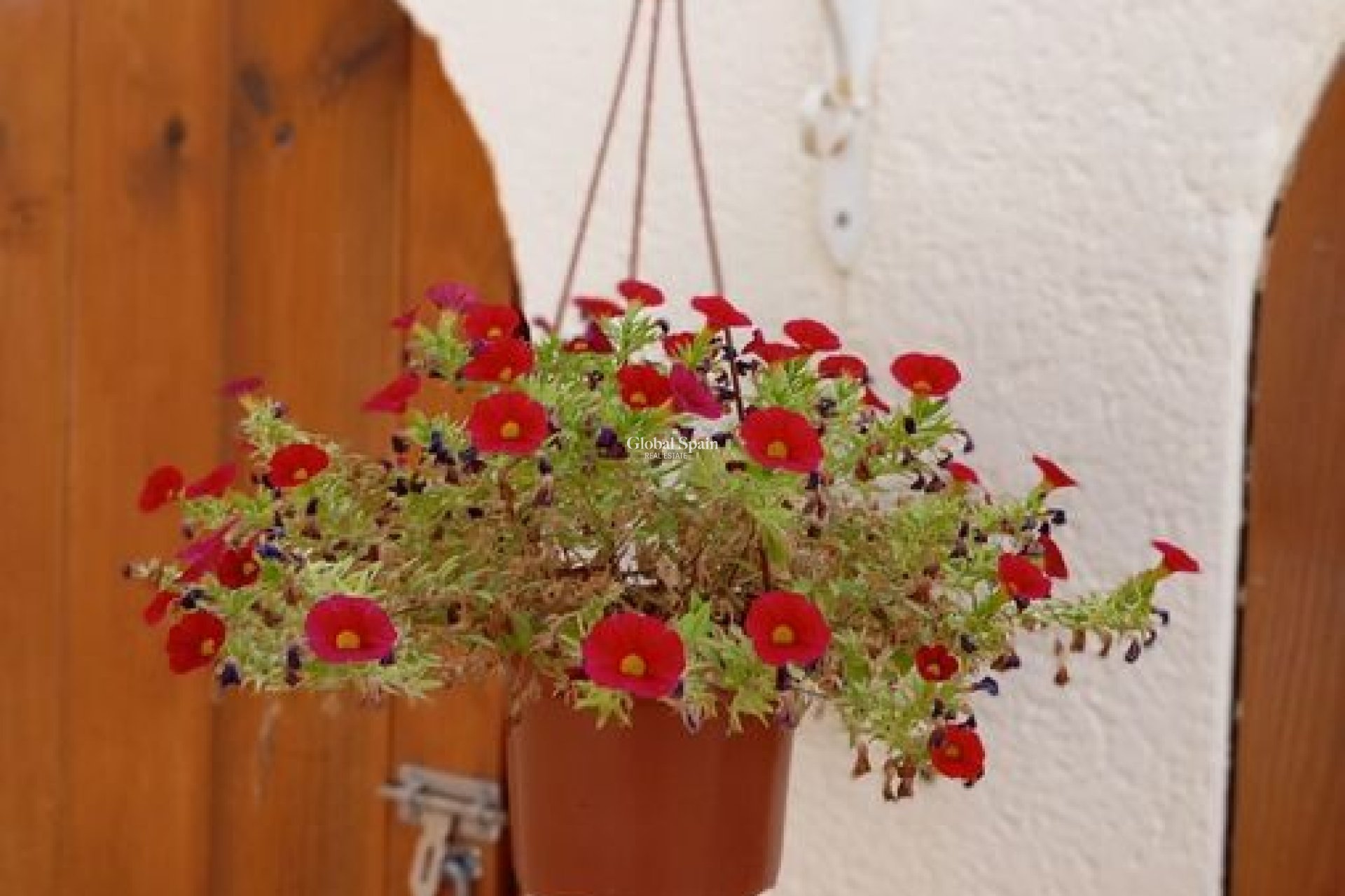 Wiederverkauf - VILLA -
VILLAMARTÍN - Costa Blanca