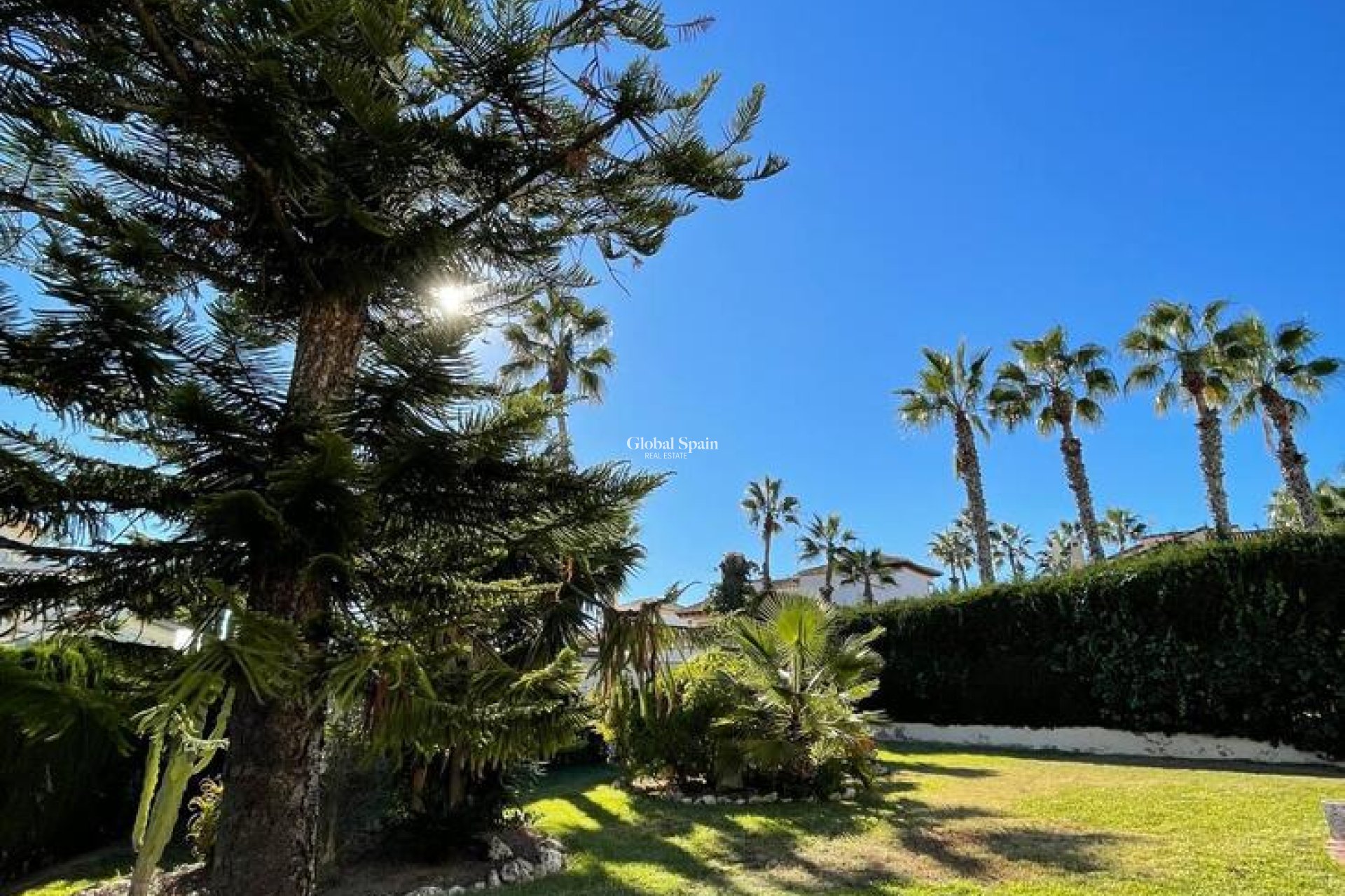 Wiederverkauf - VILLA -
VILLAMARTÍN - Costa Blanca