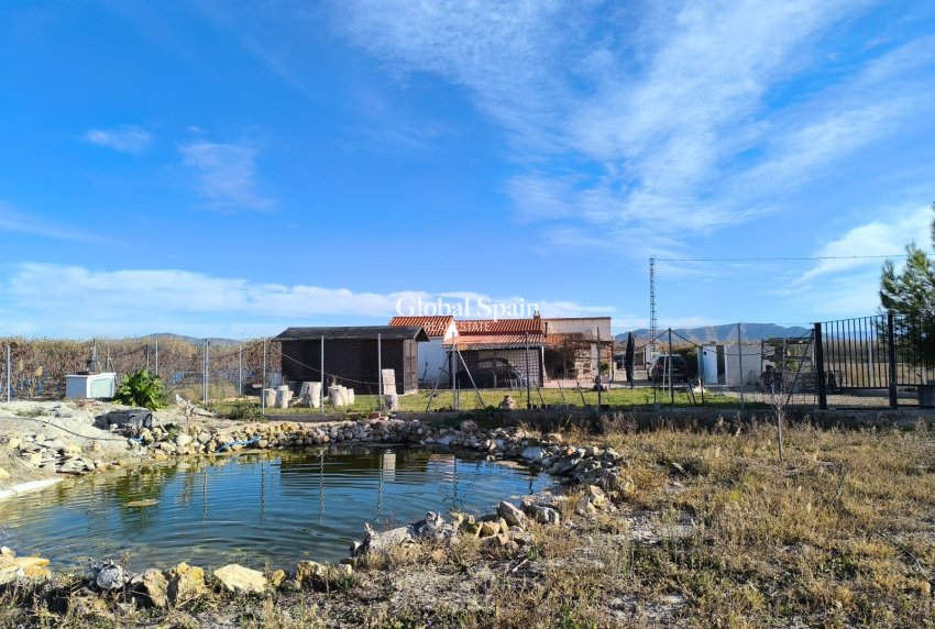 Wiederverkauf - VILLA -
VILLENA - Inland