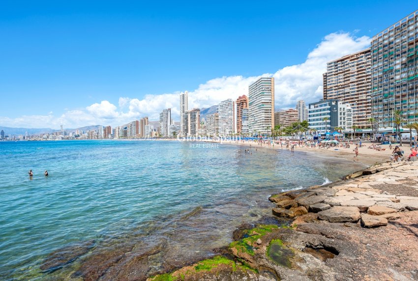 Wiederverkauf - WOHNUNG -
Benidorm - Levante