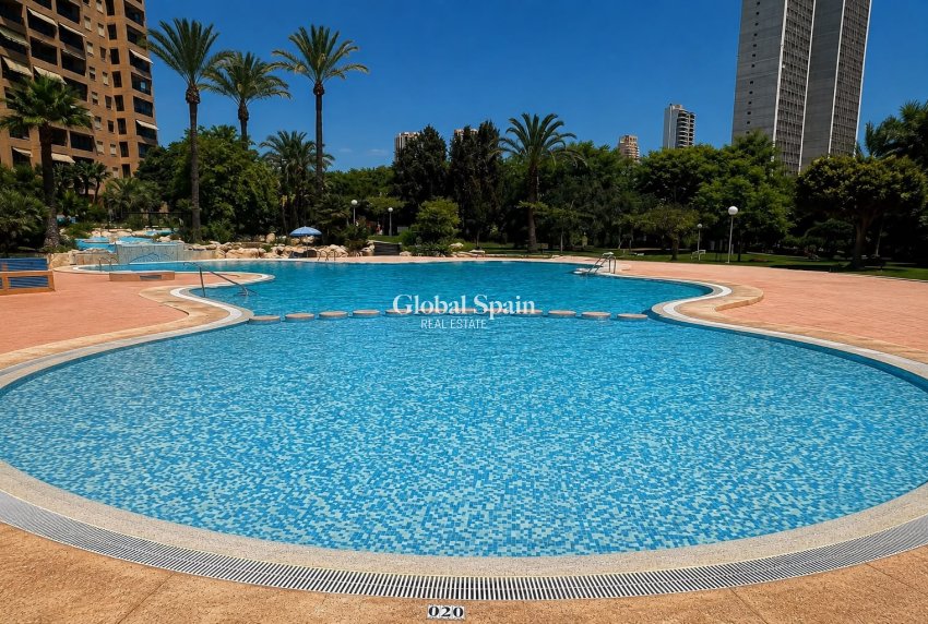 Wiederverkauf - WOHNUNG -
BENIDORM - Zona de Poniente