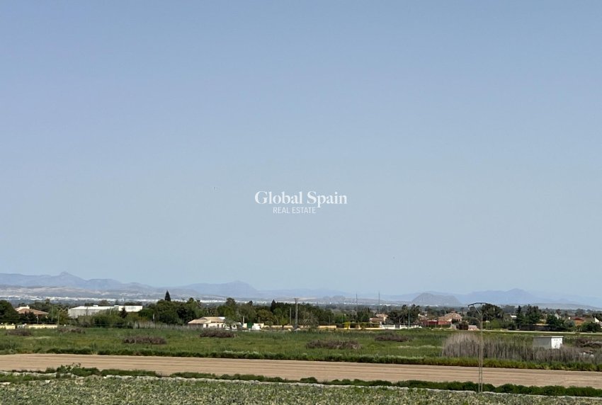 Wiederverkauf - WOHNUNG -
DOLORES - Comunidad Valenciana