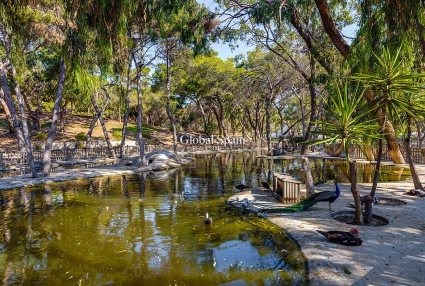 Wiederverkauf - WOHNUNG -
GUARDAMAR DEL SEGURA - Costa Blanca