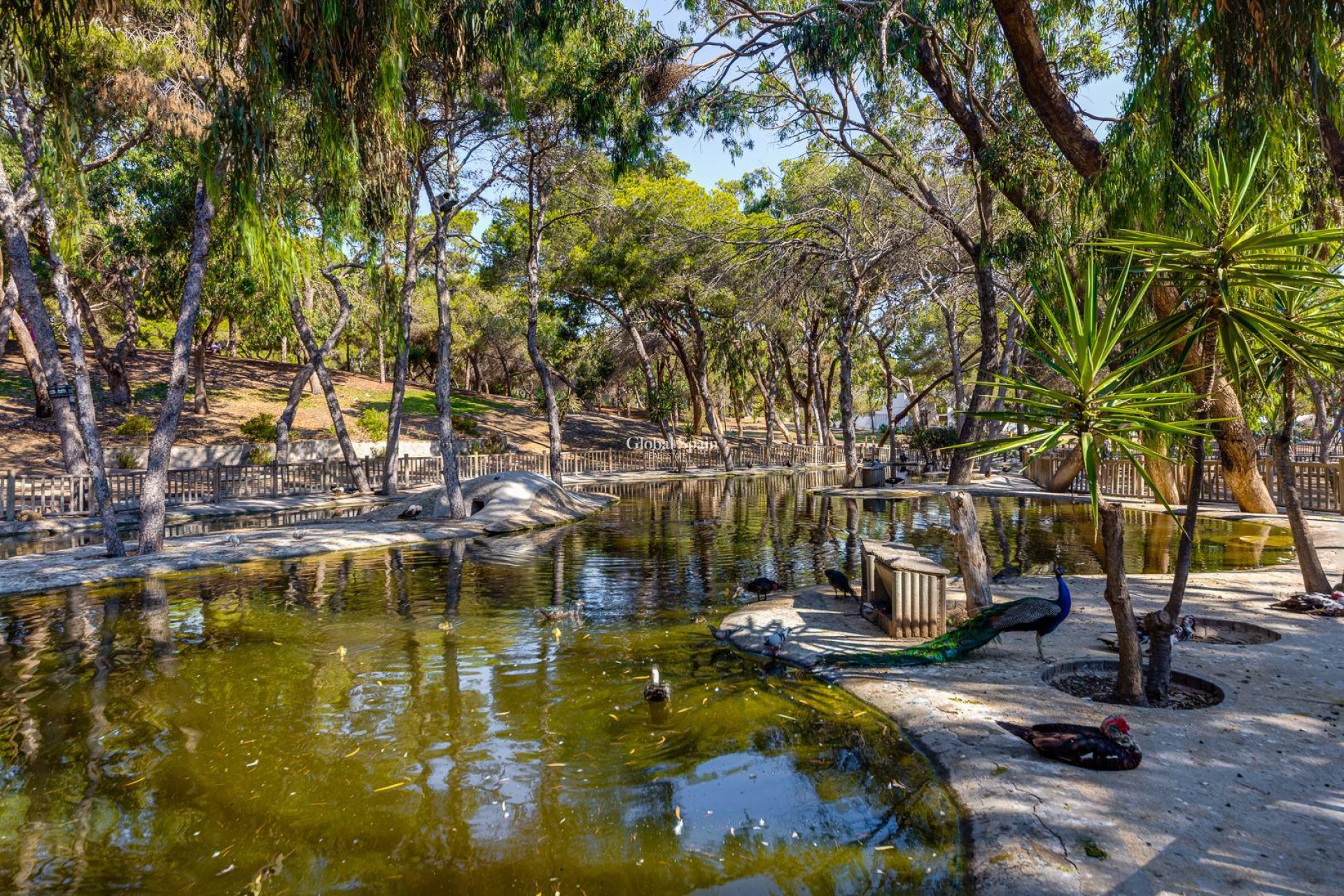 Wiederverkauf - WOHNUNG -
GUARDAMAR DEL SEGURA - Costa Blanca