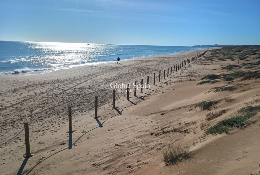 Wiederverkauf - WOHNUNG -
GUARDAMAR DEL SEGURA - Costa Blanca