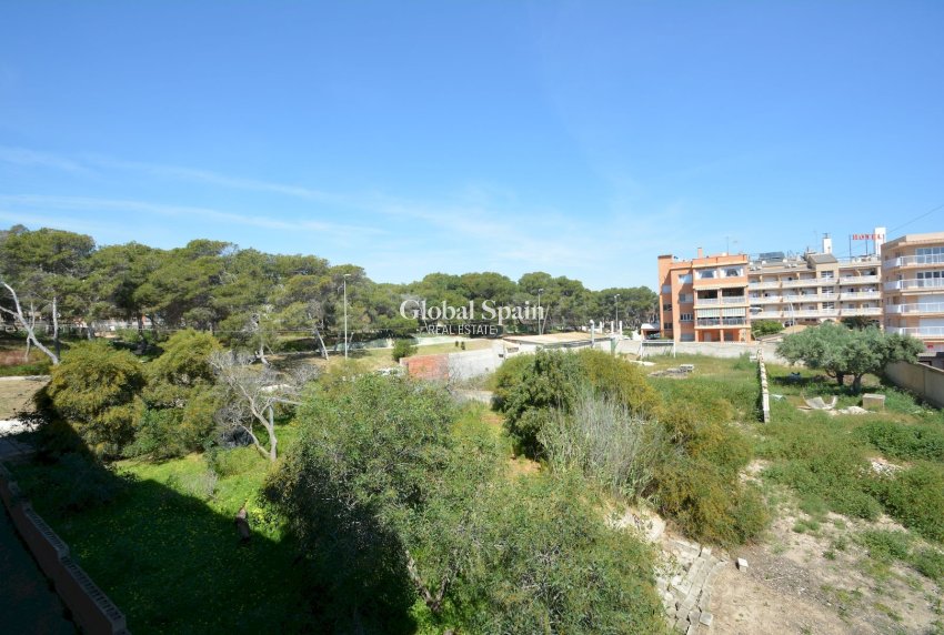 Wiederverkauf - WOHNUNG -
GUARDAMAR DEL SEGURA - Costa Blanca