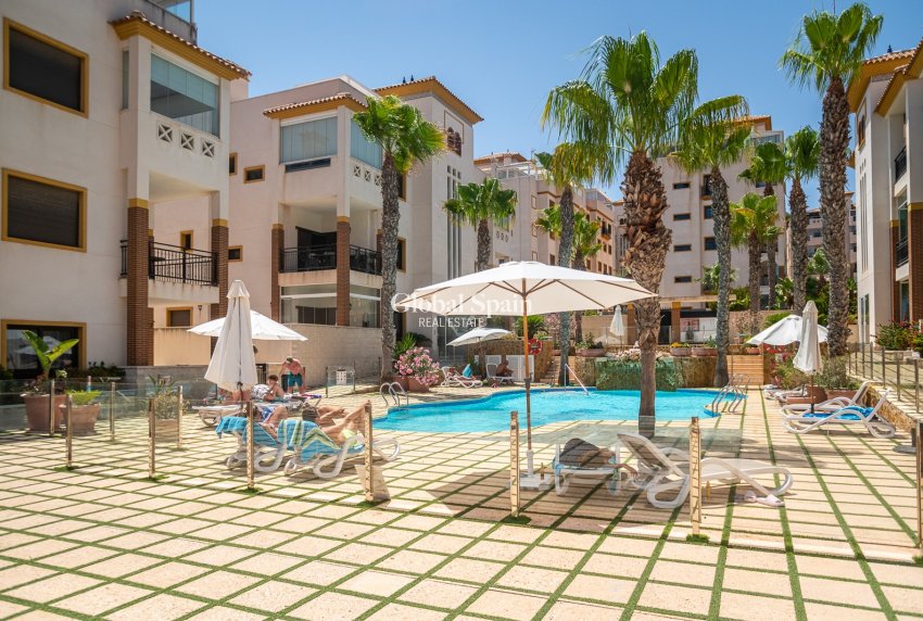 Wiederverkauf - WOHNUNG -
GUARDAMAR DEL SEGURA - Guardamar del Segura
