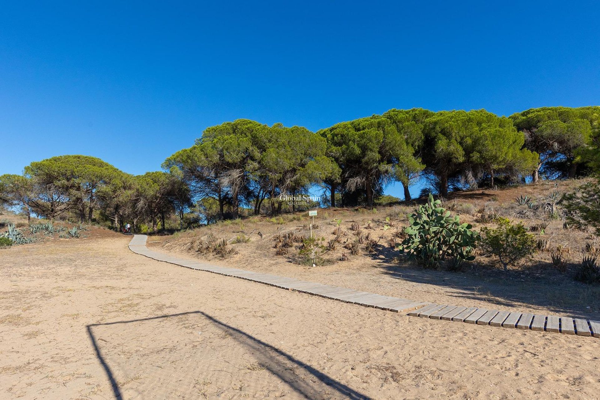 Wiederverkauf - Wohnung -
GUARDAMAR DEL SEGURA - Urb. pinomar