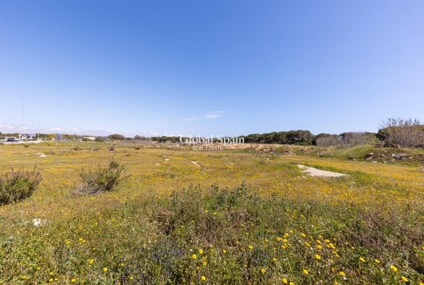 Wiederverkauf - WOHNUNG -
GUARDAMAR DEL SEGURA - Urbanizaciones