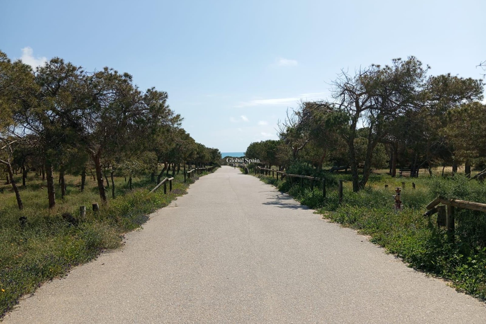 Wiederverkauf - WOHNUNG -
GUARDAMAR DEL SEGURA - Urbanizaciones