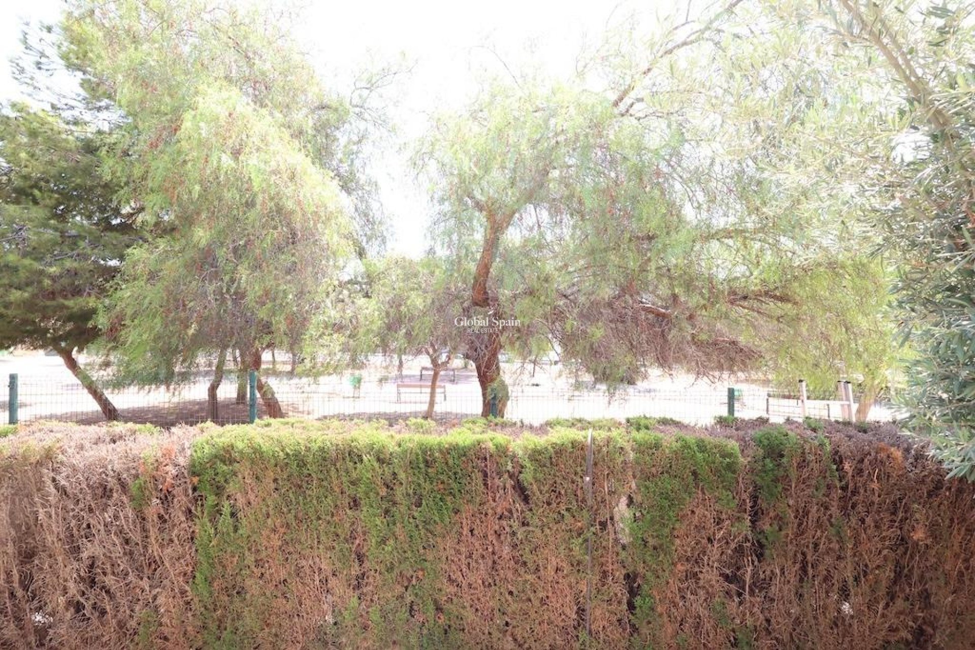 Wiederverkauf - WOHNUNG -
ORIHUELA COSTA - Costa Blanca